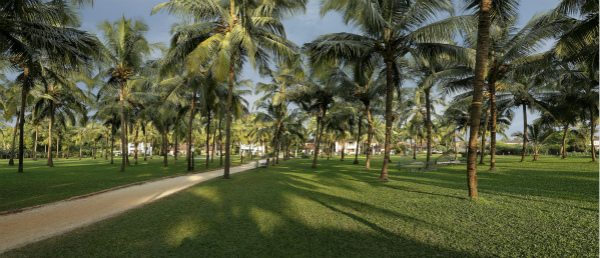 11. Sea Lawns_meitu_5.jpg