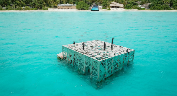 1532404586.jpg Fairmont Maldives Coralarium (1)_meitu_1.jpg