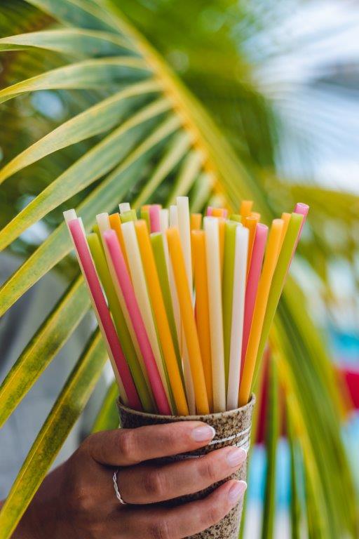 LUX South Ari Atoll - Edible Straws.jpg
