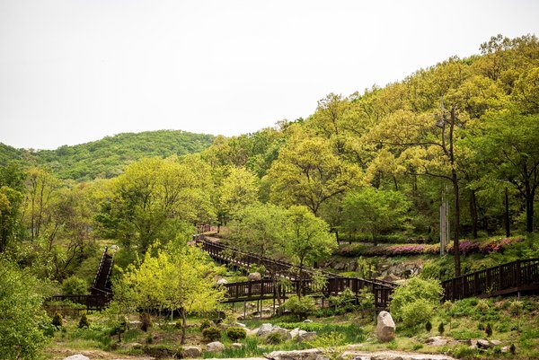 Seokmodo植物园