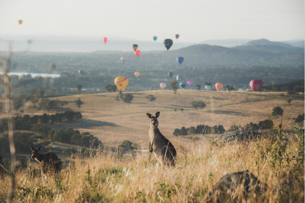 位于澳大利亚首都领地的堪培拉热气球节（Canberra Balloon Spectacular）（图片来源：堪培拉旅游局）_meitu_1.jpg