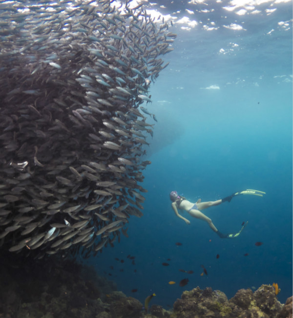 1608251991.jpg Underwater1_hres (1)_meitu_1.jpg