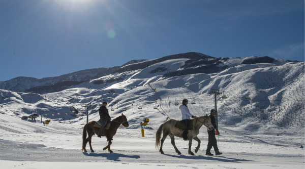 Activities - Winter Horse Trekking_meitu_1.jpg