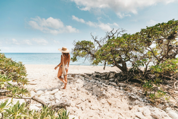 威尔逊岛 (Wilson Island)_meitu_5.jpg