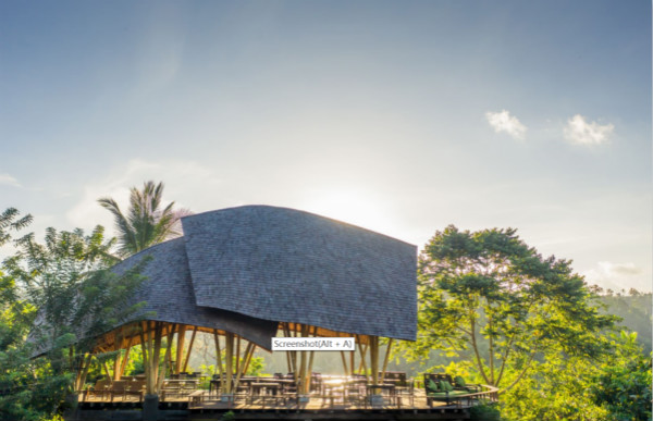 Banyan Tree 3_meitu_4.jpg