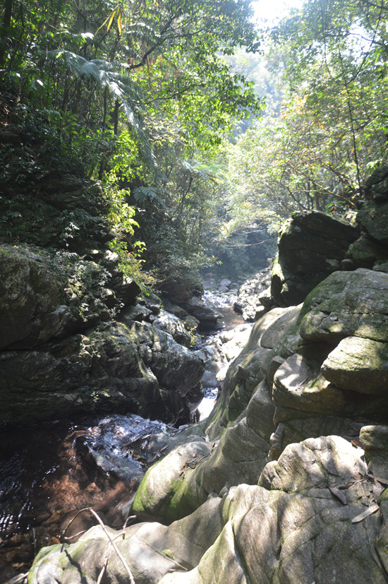 Bach Ma National Park Eco-System Hue Vietnam_副本.jpg