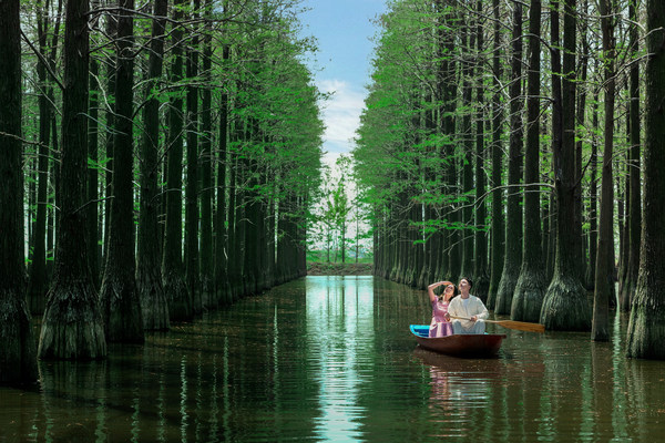 森酝自然 寻找不一样的美景