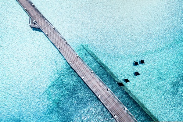 海龙岛 137499 Heron Island jetty aerial_副本.jpg