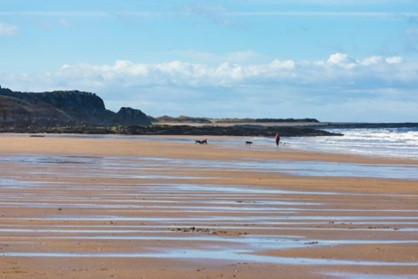 东洛锡安的古兰海滩（Gullane Beach）%U00A9 苏格兰旅游局 Kenny Lam 版权所有.jpg