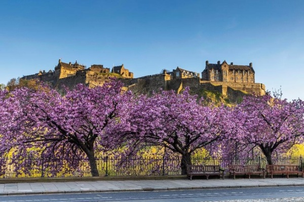 爱丁堡的爱丁堡城堡和王子街（图片版权：苏格兰旅游局  Kenny Lam）_副本.jpg