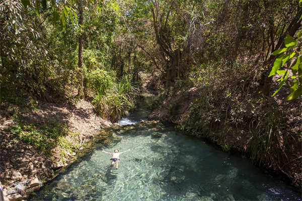 北领地凯瑟琳温泉（Katherine Hot Springs）.jpg