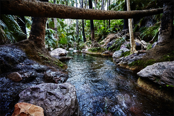 西澳大利亚州泽比第温泉（Zebedee Hot Springs）.jpg