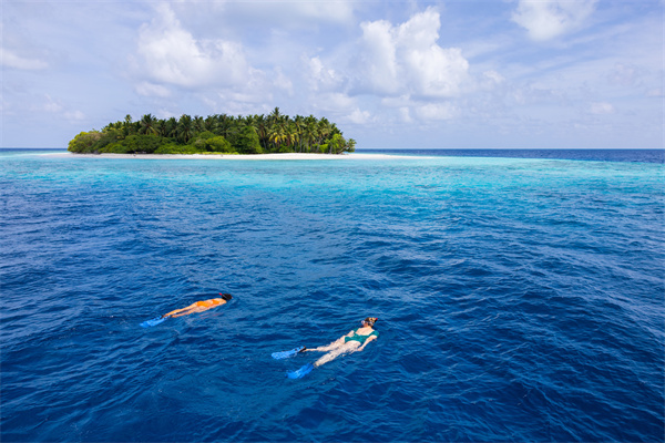 Avani+ Fares Maldives Resort - Excursion - Coral Garden Snorkeling.jpg