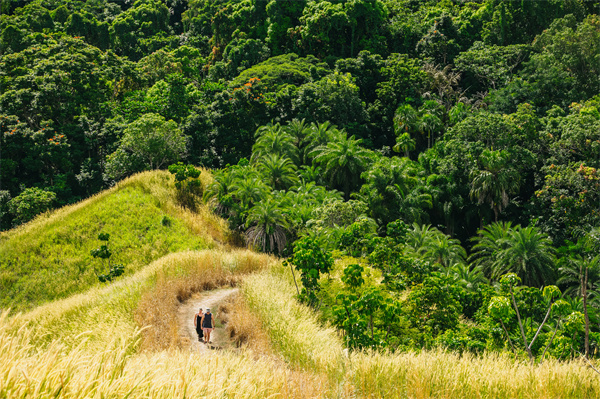 Garden of the Sleeping Giant,Nadi.jpg