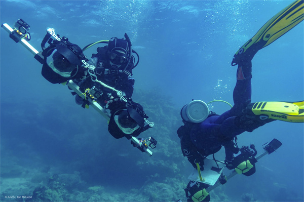 海洋科学家拍摄大堡礁海底3D地图.jpg