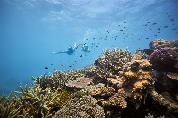 使命海滩浮潜之旅.jpg