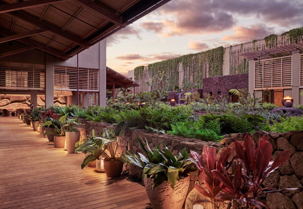 1 Hotel Hanalei Bay - Lobby Garden (Image Credit_ AVABLU) - Copy_副本.png