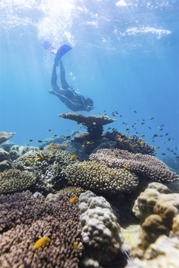 自然资源丰富的凯恩斯与大堡礁.jpg