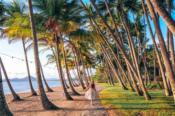 拥有成排棕榈树和柔美沙滩的棕榈湾.jpg