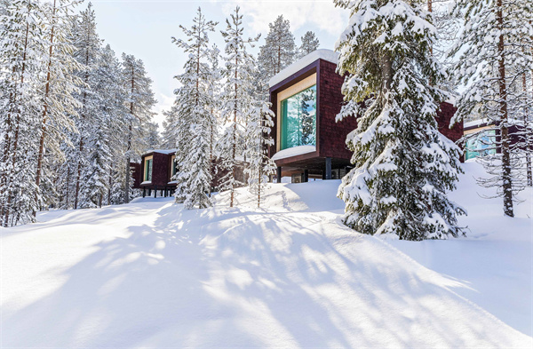 Arctic Treehouse - Finland.jpg