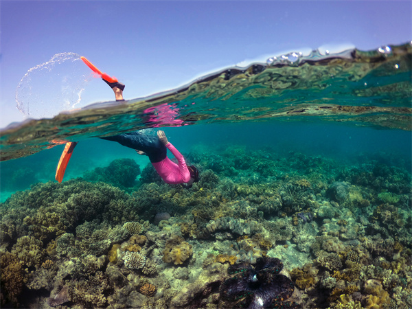 在五彩斑斓的大堡礁（Great Barrier Reef）浮潜.jpg