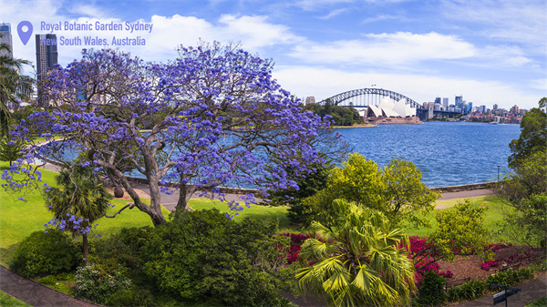 Royal Botanic Garden-来源：新南威尔士州旅游局.jpg