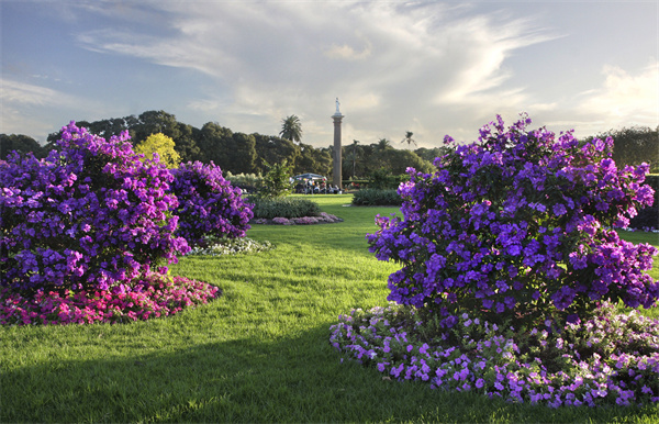 Centennial Parklands-来源：新南威尔士州旅游局.jpg