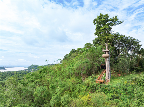 Canopy, a Tree Top Dining Experience (2).jpg