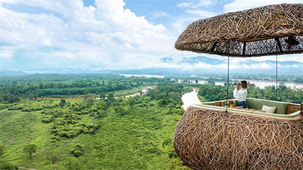 Canopy, a Tree Top Dining Experience (3).jpg