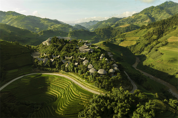 Garrya Mu Cang Chai, Vietnam.jpg