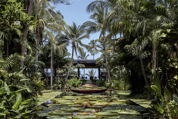 1739959962.jpg Lily Ponds at Anantara Bophut Koh Samui Resort.jpg