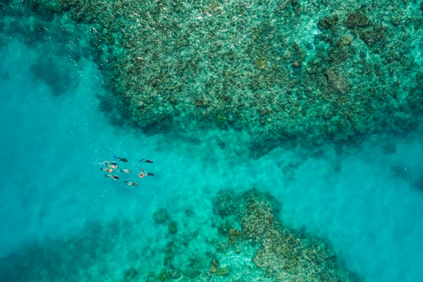 乌波洛沙洲水下珊瑚花园 Upolo Reef - Ocean Freedom - copyright TTNQ_副本.jpg