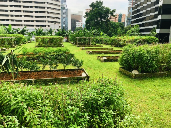 Rooftop Garden - Image 2_副本.jpg