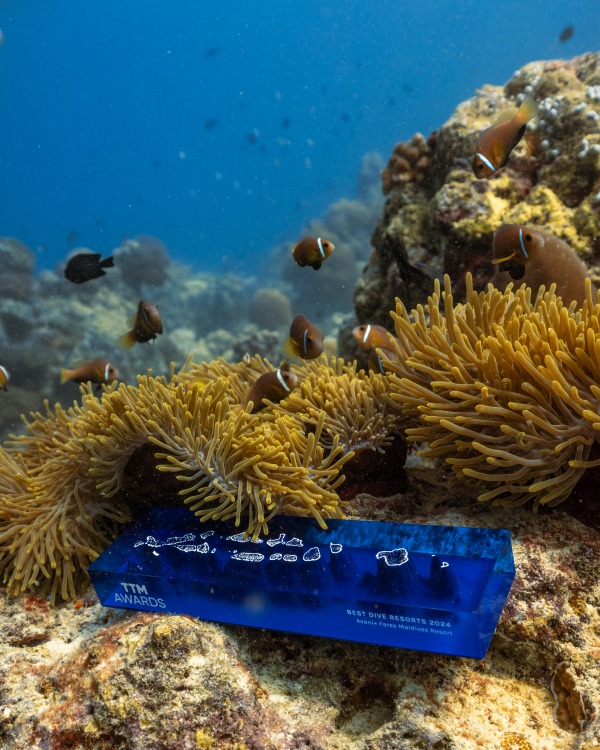 Best_Dive_Resort_Award_TTM2024_Avani_Plus_Fares_Maldives_副本.jpg