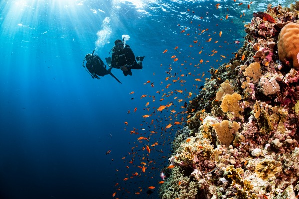 PADI_Diving_副本.jpg