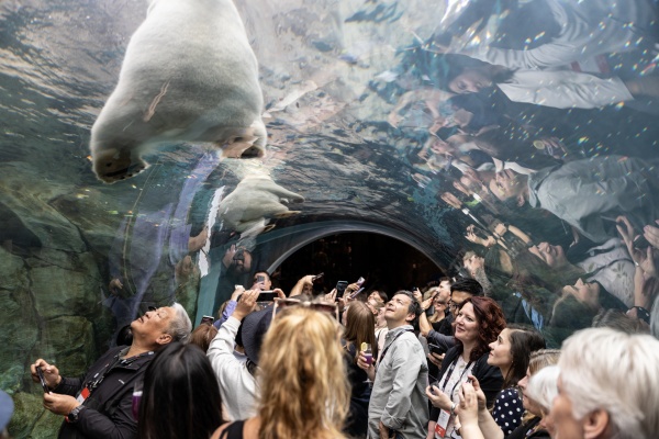 Polar Bear feet_副本.jpg