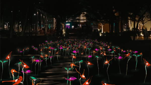 图片6.灯光作品Take a walk through the meadow with me（图片来源：i Light Singapore灯光展）_副本.jpg