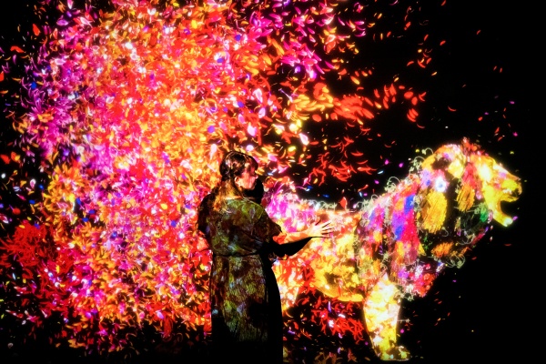 04_Animals of Flowers Symbiotic_main.jpg