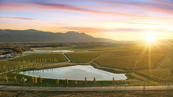 Sunset, Hunter Valley_副本.jpg