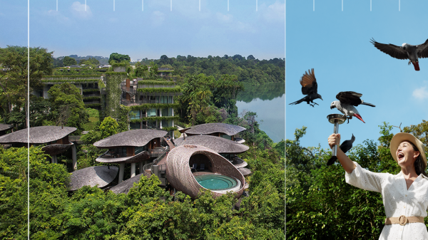 Mandai Rainforest Resort by Banyan Tree (Photo Credit_ Mandai Wildlife Reserve & WOW Architects)_副本.png