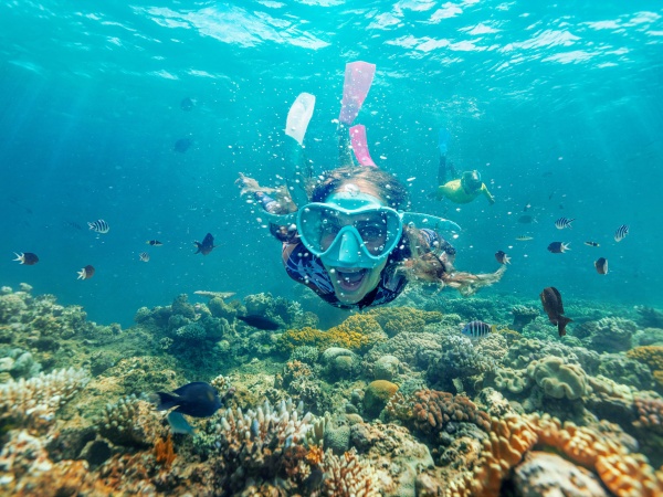 1759121124.jpg 156457-2025 体验大堡礁的海底世界.jpg