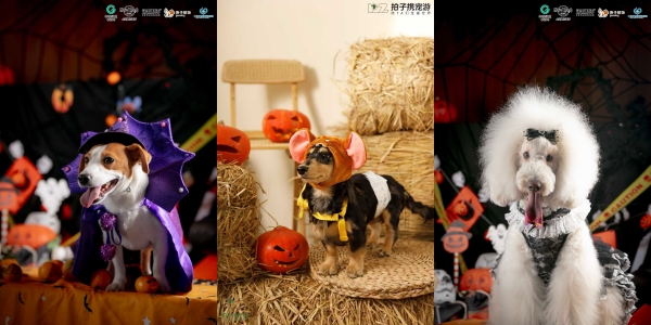 大连硬石酒店呈献「万圣节汪汪派对」专场活动2_副本.jpg