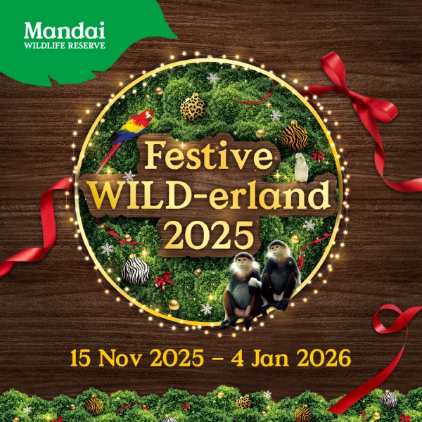 图片8.Festive WILD-erland（图片版权来源：万态保育集团）_副本.jpg