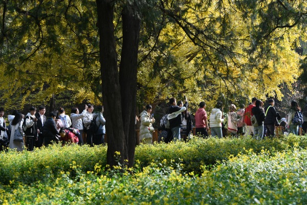 1766127854.jpg DSC_3380_副本.jpg