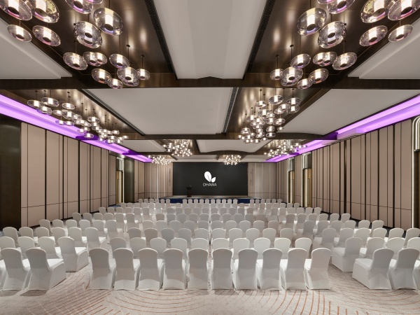 宴会厅-剧院_副本.jpg