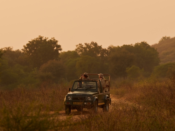 Aman-i-Khas, India - Experience, Safari_副本.jpg