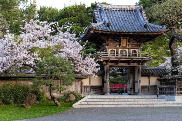 图片8 © San Francisco Travel Association.jpg