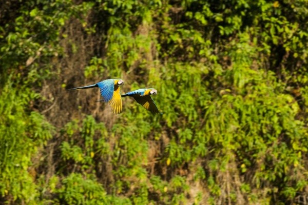 024207_preview.jpg