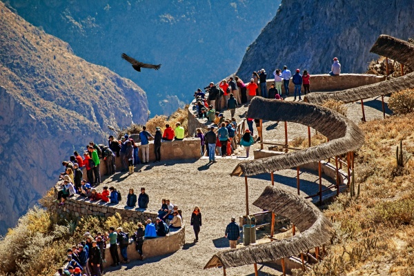 AUTOCOLCA.jpg