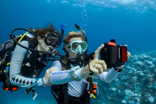 1783607306.jpg Credit_ PADI (6).jpg